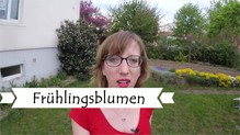 Frühlingsblumen