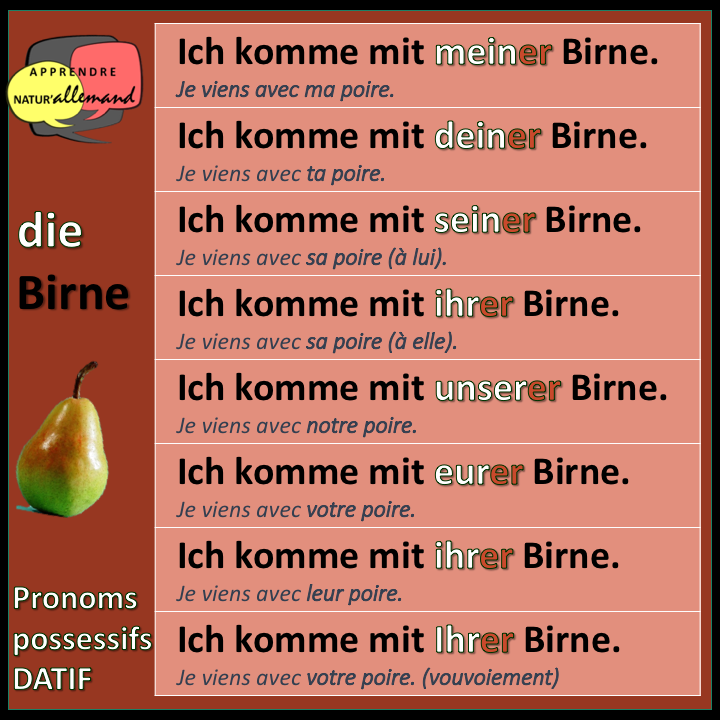 Comment bien utiliser les pronoms possessifs en allemand ...